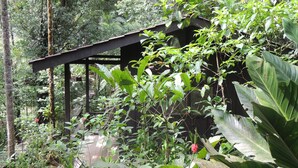 A rustic wooden structure surrounded by dense tropical foliage. - Yatama Ecolodge Sarapiqui (Las Horquetas)