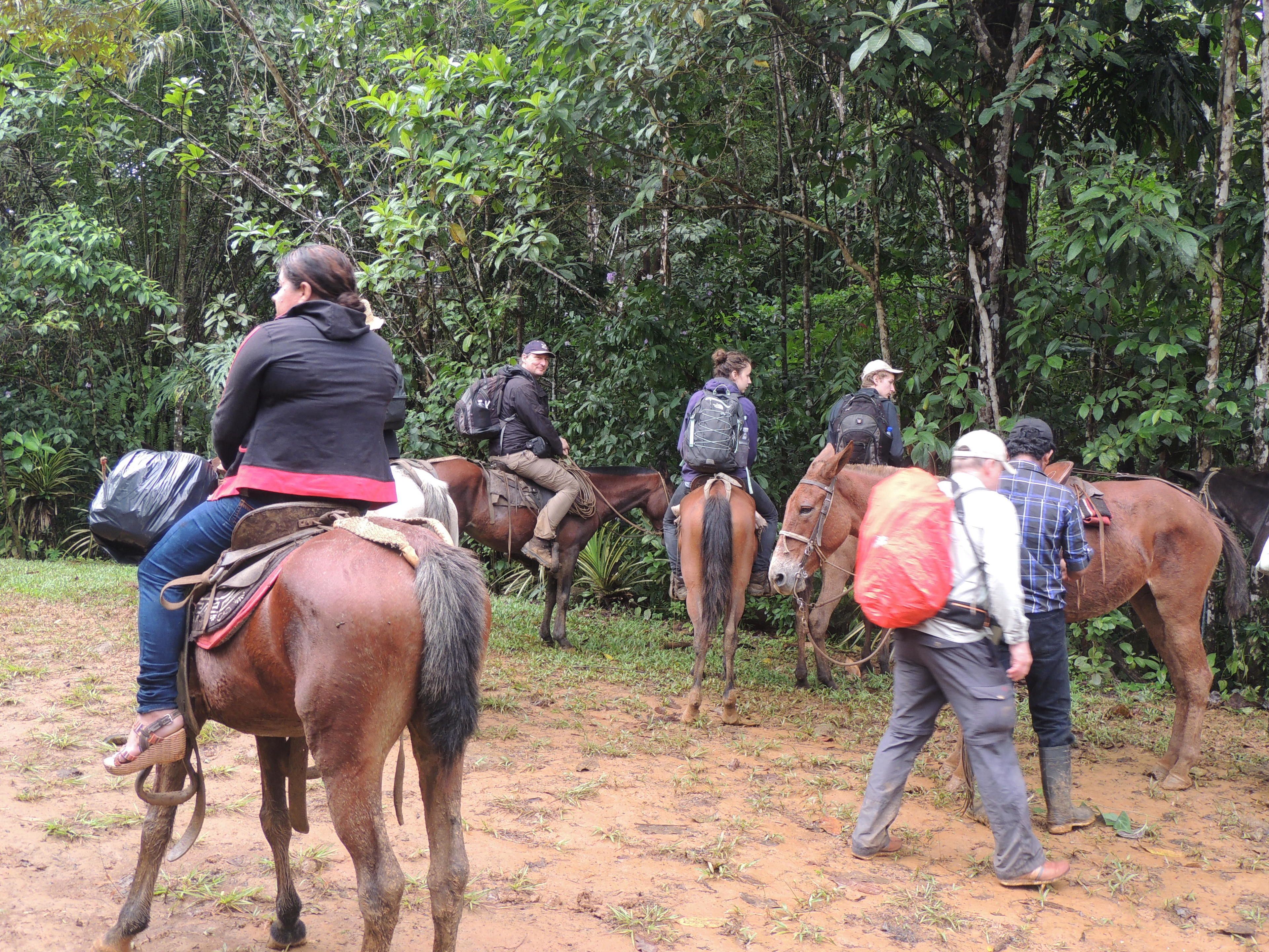 Un groupe de personnes à cheval dans une zone boisée.