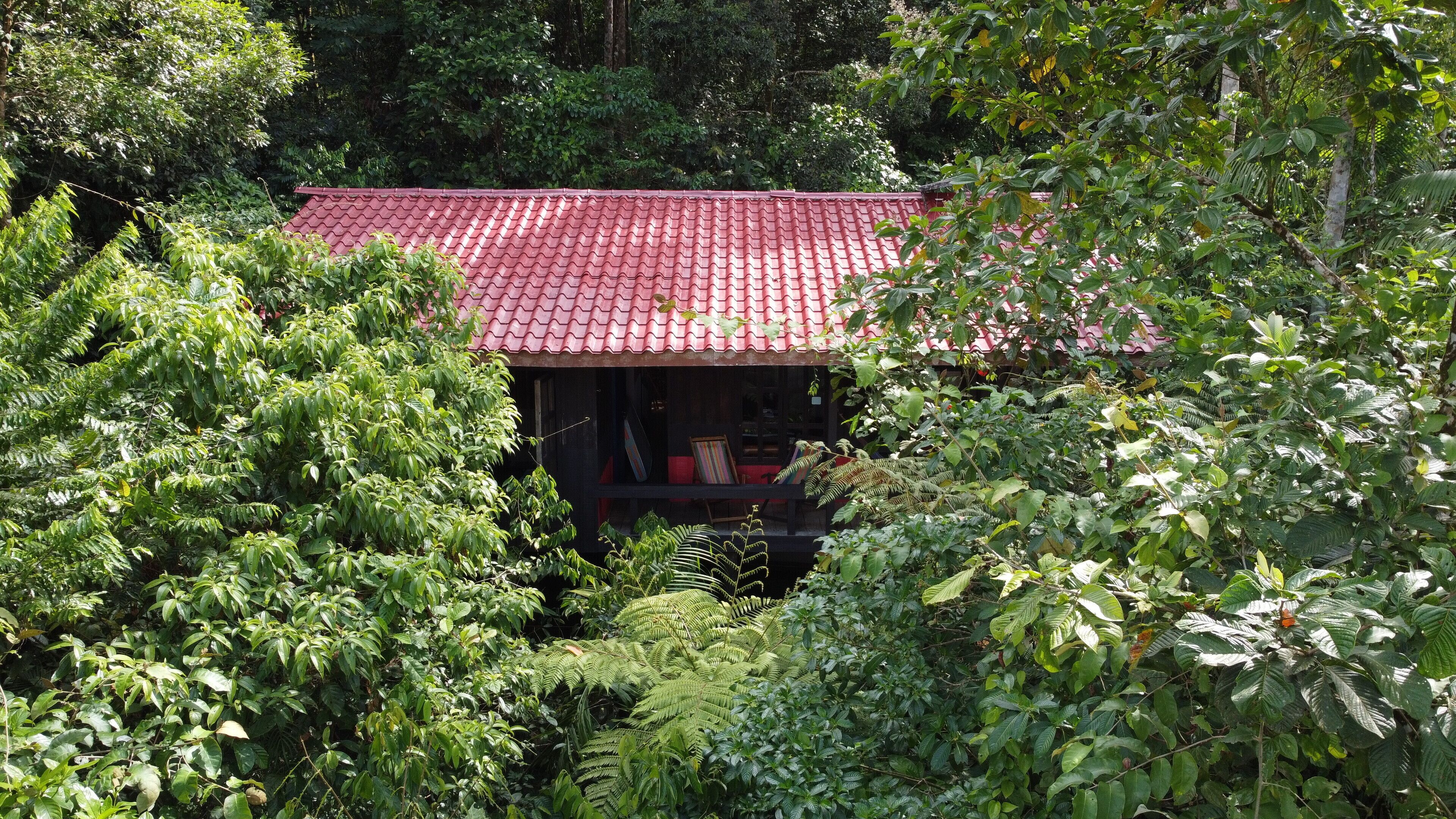Une maison isolée, avec un toit recouvert de tuiles rouges, entourée d’une végétation luxuriante.