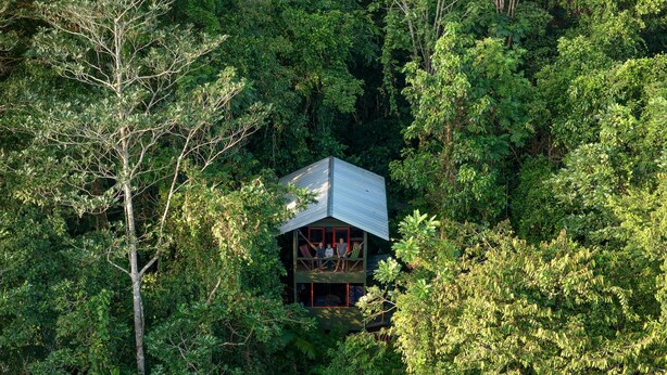 A treehouse with a metal roof, surrounded by dense forest. - Yatama Ecolodge Sarapiqui (Las Horquetas)