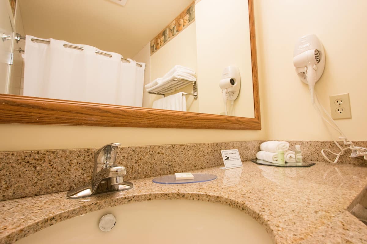 combined shower/bathtub, free toiletries, hair dryer, towels