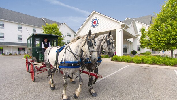 A horse-drawn carriage parked in front of a building with a distinctive emblem on the facade.