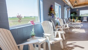 A sunlit room with white Adirondack chairs, a potted plant, and a view of the outdoors.