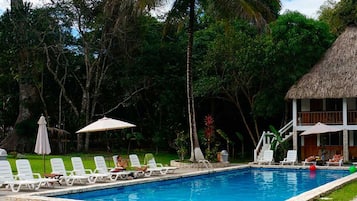 Un área de piscina con sillones de descanso y sombrillas, rodeada de exuberante vegetación y un edificio con techo de paja.