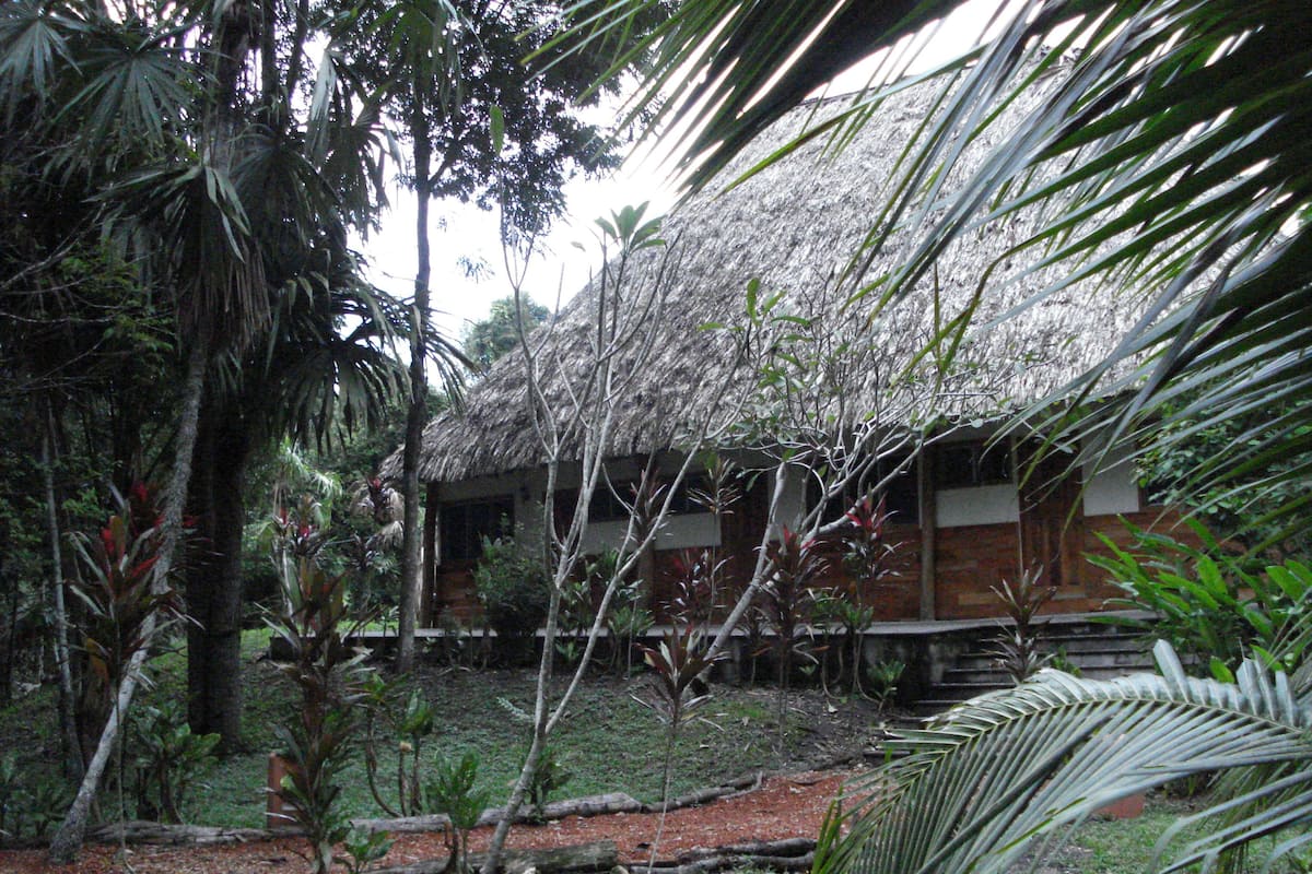 A rustic building with a thatched roof, surrounded by dense tropical vegetation.