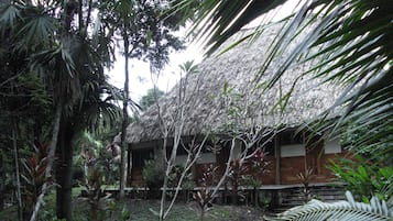 Un edificio rústico con tejado de paja, rodeado de densa vegetación tropical.