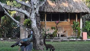 A rustic building with thatched roofs, surrounded by lush greenery and a variety of birds. - Hotel Tikal Inn (Flores)