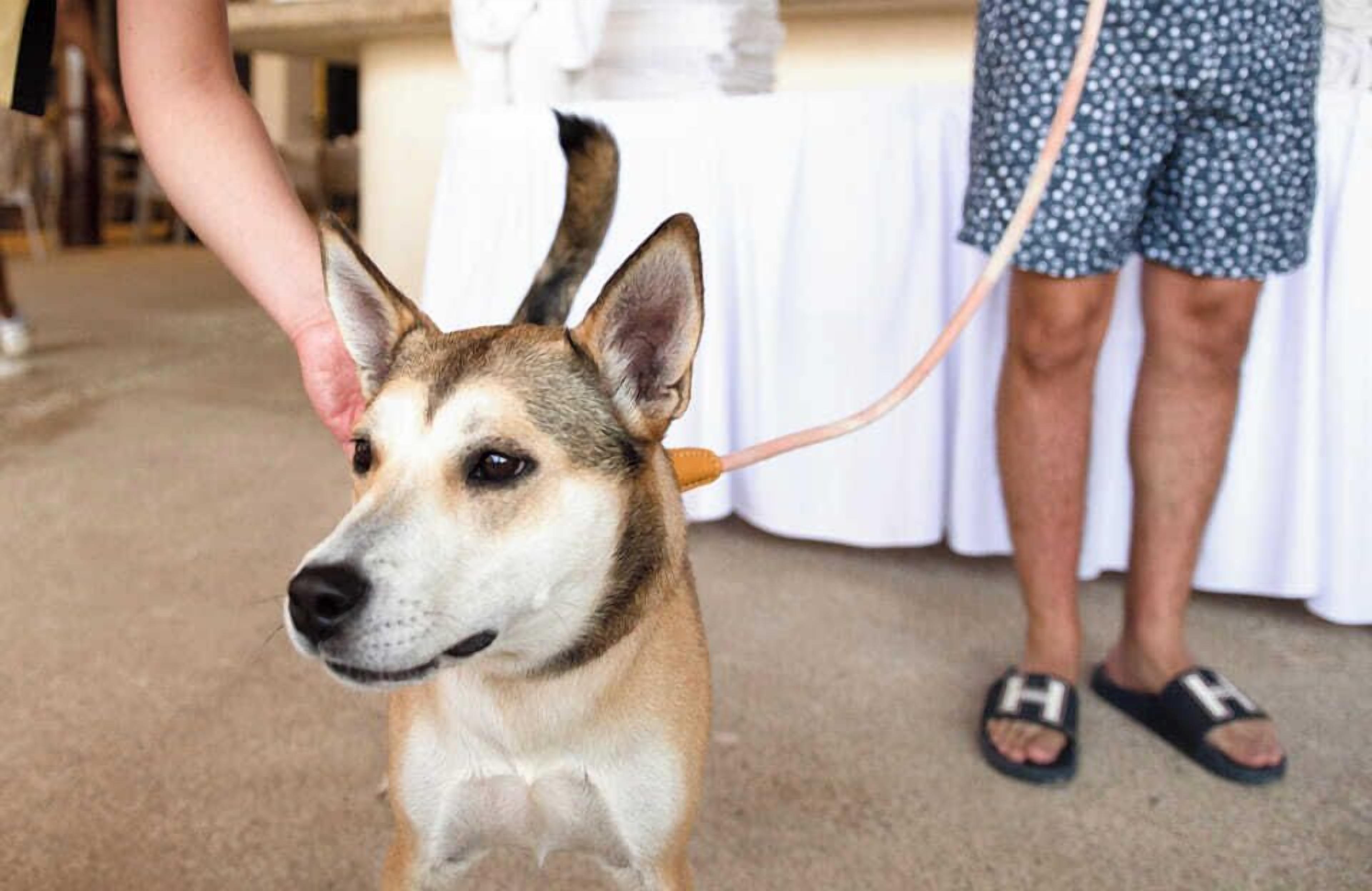 Foto - Mishol Bodas Hotel & Beach Club Privado