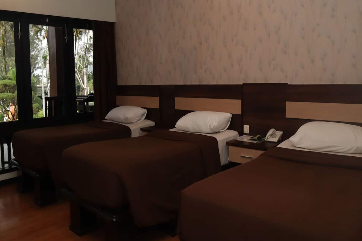 Superior Triple Room (with twin bed) | Minibar, desk, free WiFi