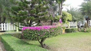 A garden with a tree surrounded by pink flowers, a white picket fence, and a building with a sign in a foreign language.