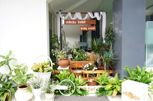 Se ofrece un desayuno bufé (50000 IDR por persona)