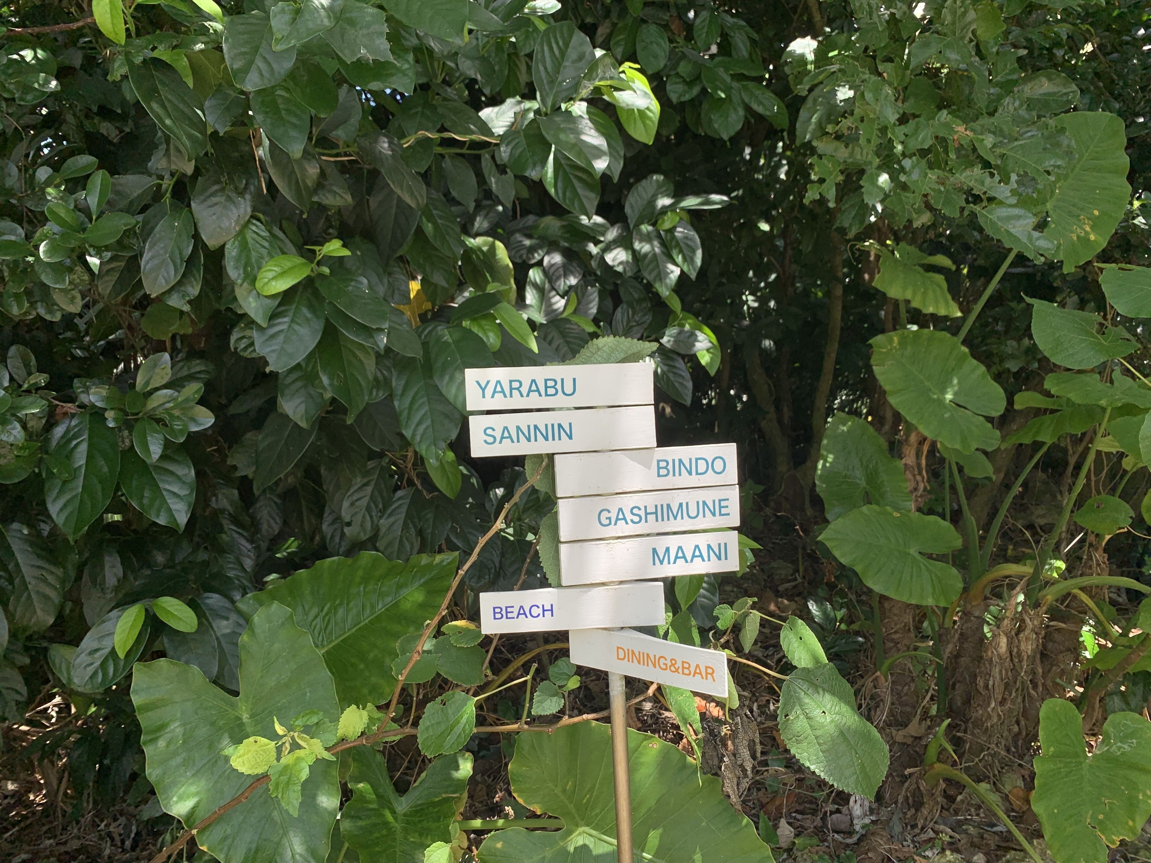 Un cartel con indicaciones a varios destinos, rodeado de vegetación densa.
