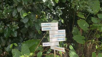 Un cartel con indicaciones a varios destinos, rodeado de vegetación densa.