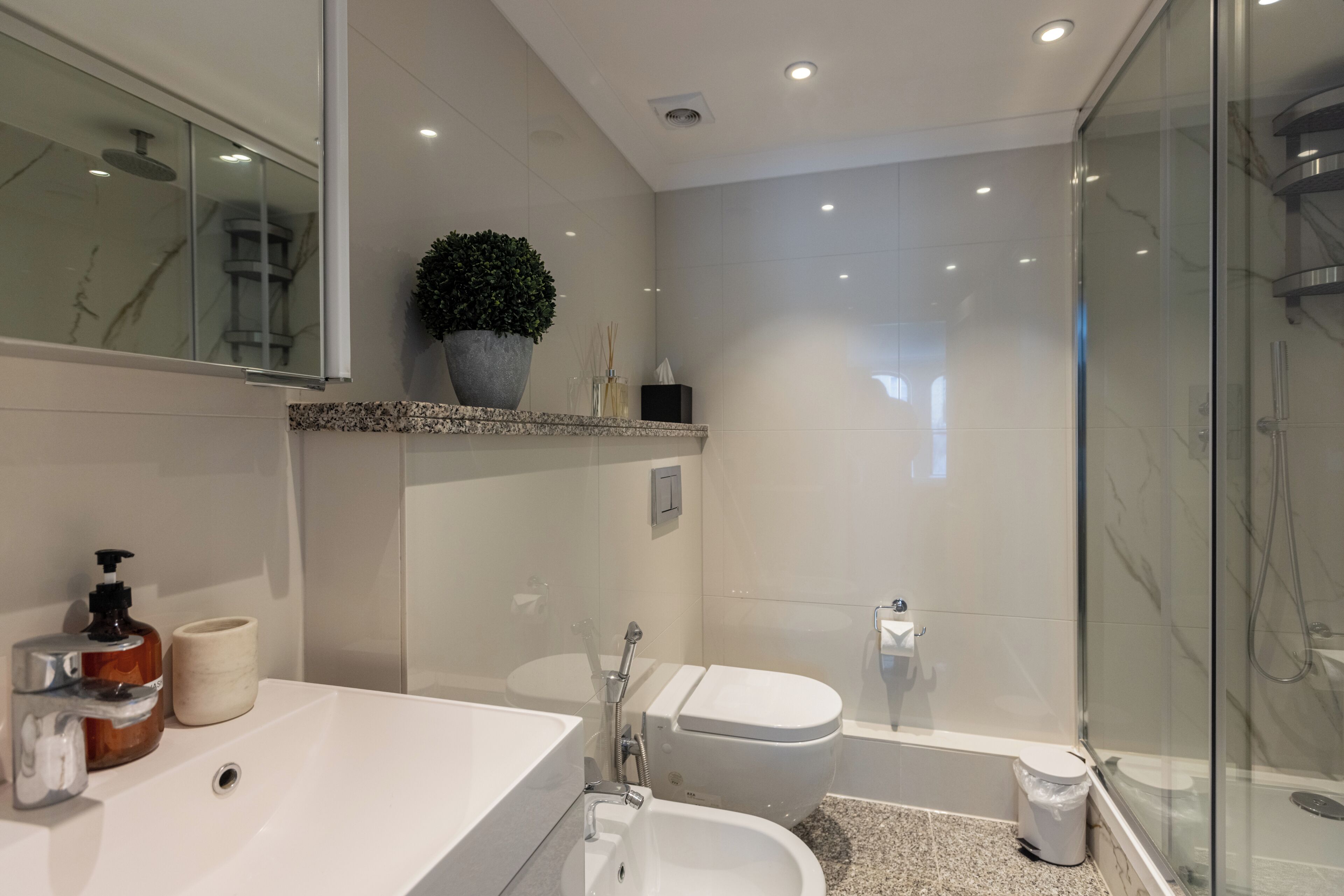 A modern bathroom with a large mirror, a sink, a bidet, a shower, and a potted plant.