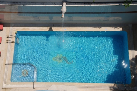 Outdoor pool, pool loungers