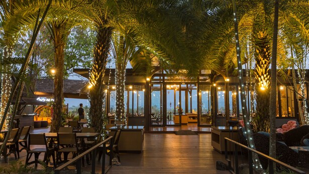 Un espacio de comedor al aire libre con mesas y sillas de madera, rodeado de palmeras y luces colgantes.