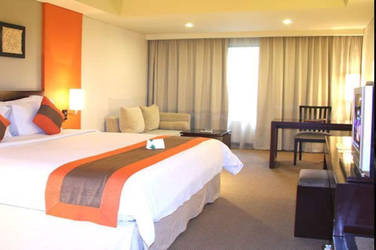 Una habitación de hotel con una cama grande, un escritorio, una silla y un sofá.