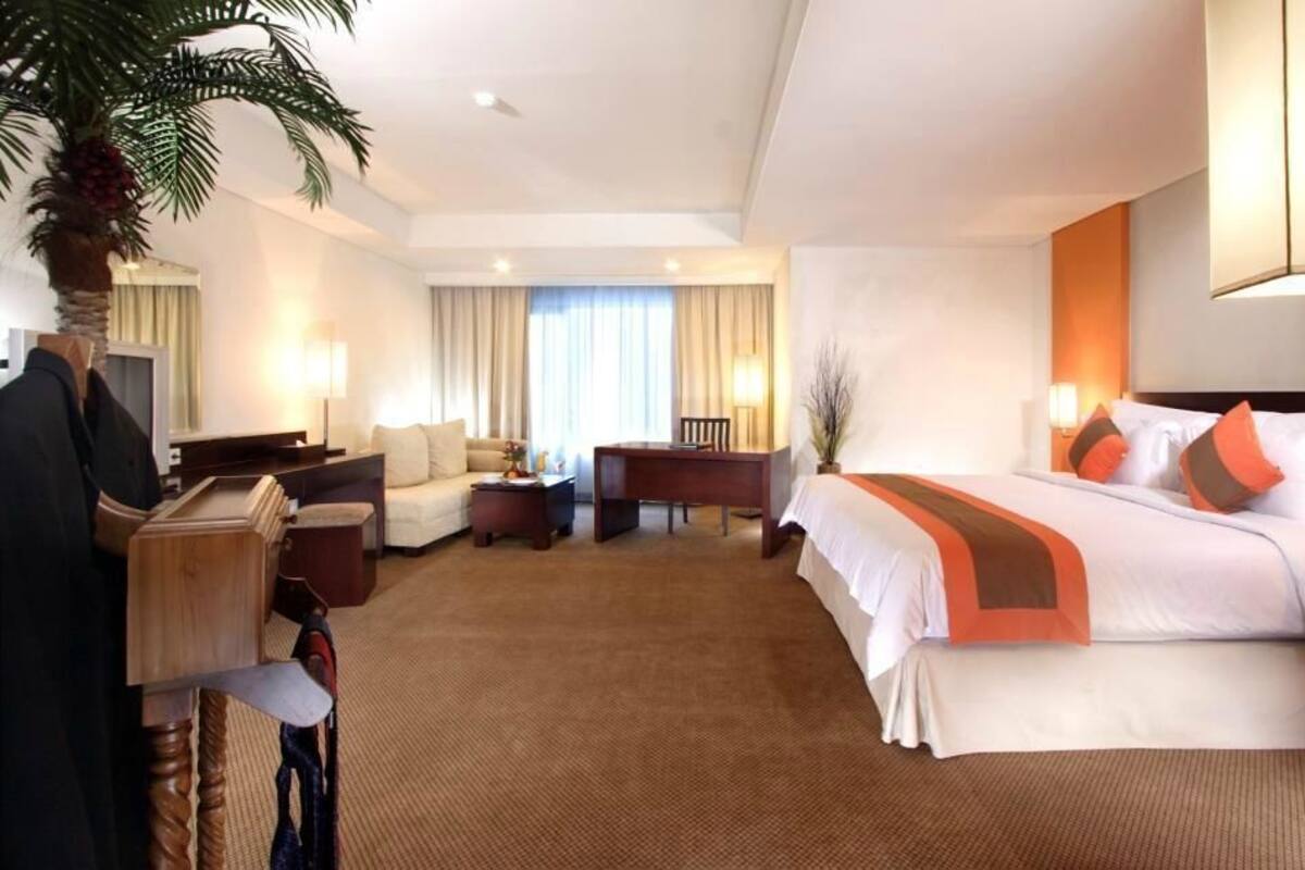 Habitación de hotel con una cama grande, un escritorio, una silla, un televisor y una planta.