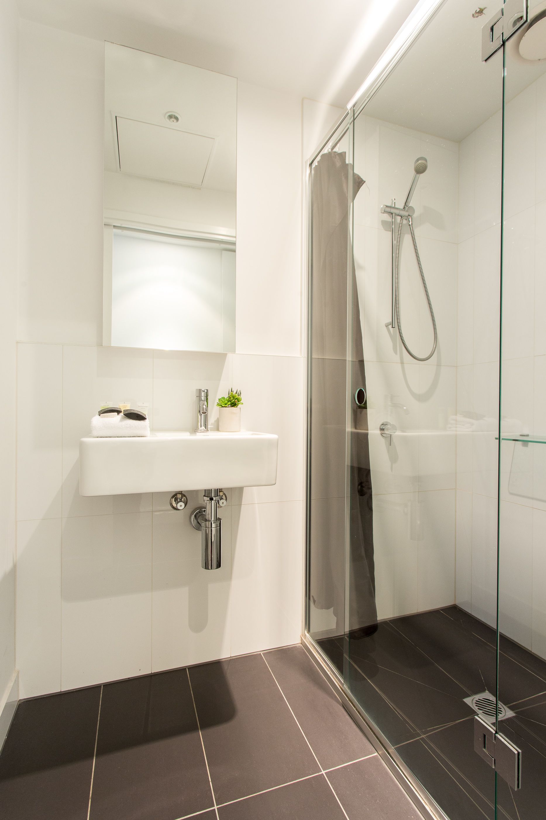 A modern bathroom with a glass shower enclosure, a white sink, and a small potted plant.