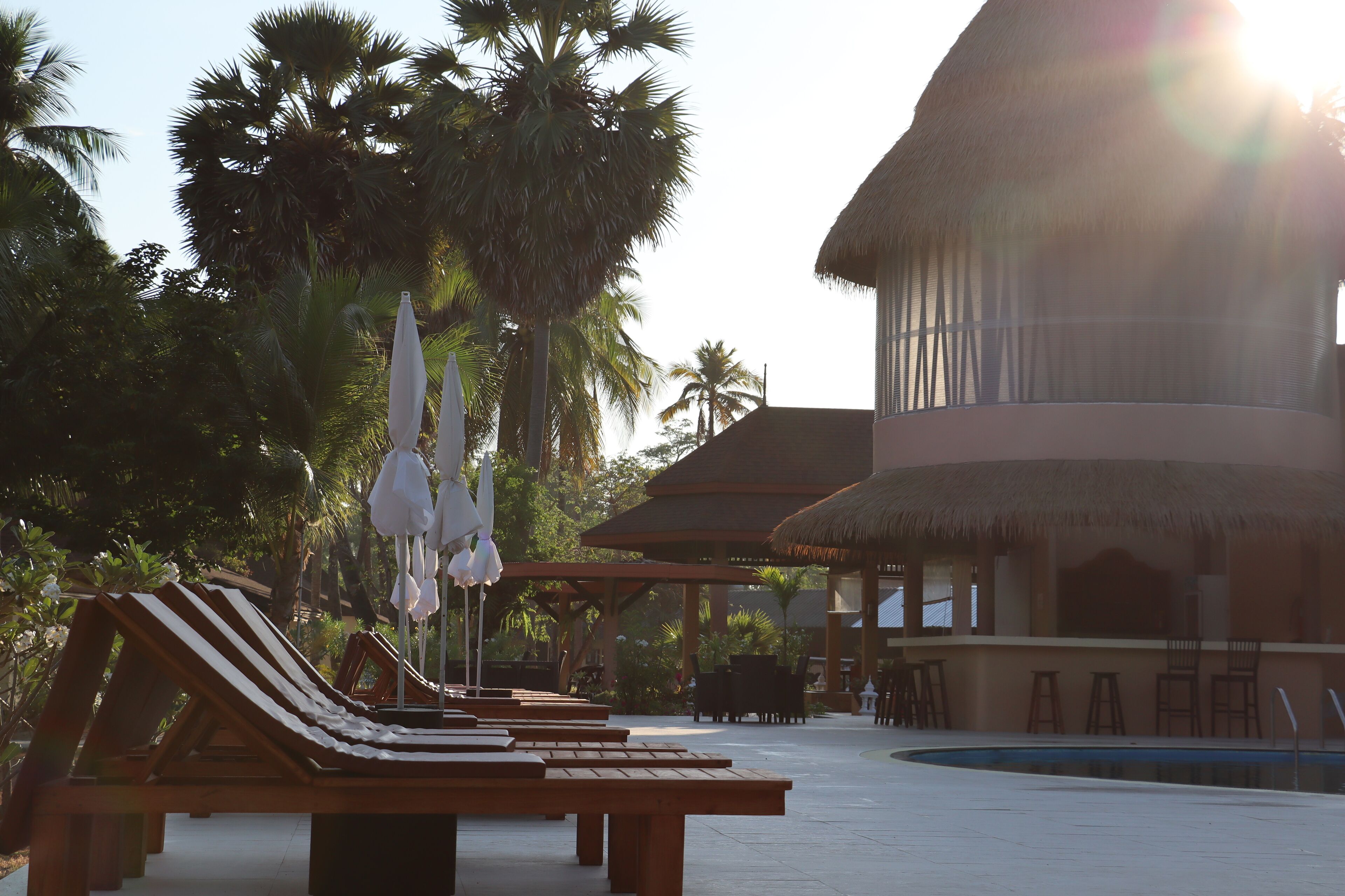 Un resort con sillones de descanso y sombrillas, piscina y palmeras.