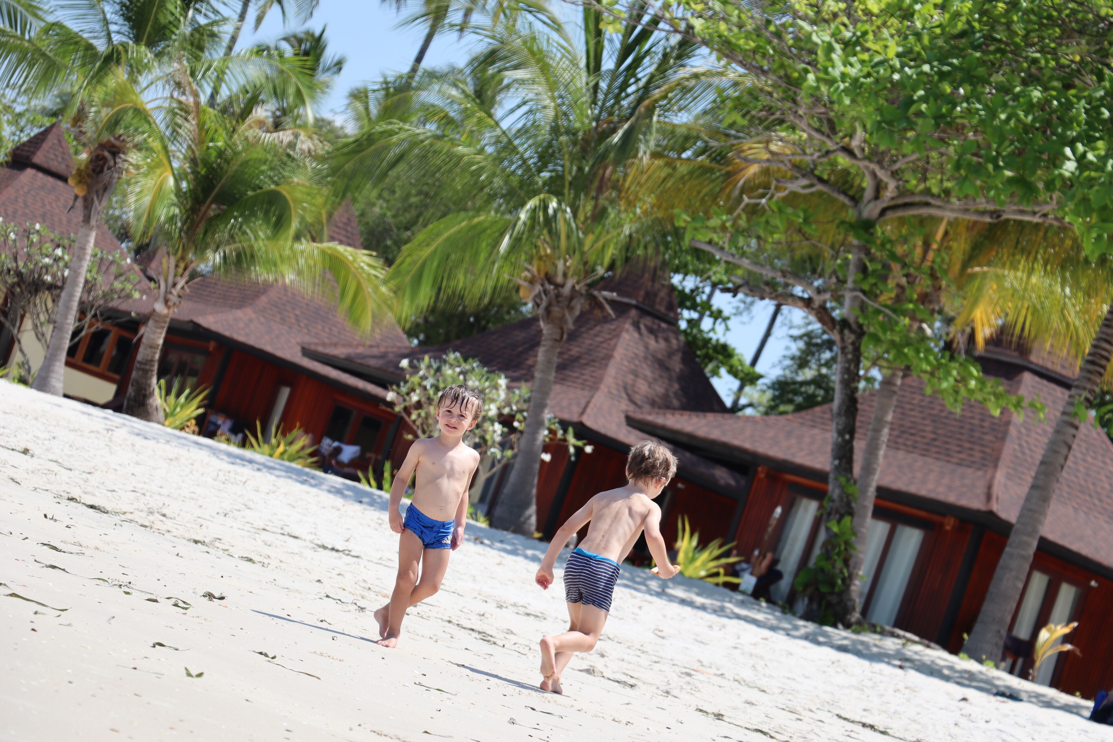 Playa privada, camastros, buceo y kayaks 