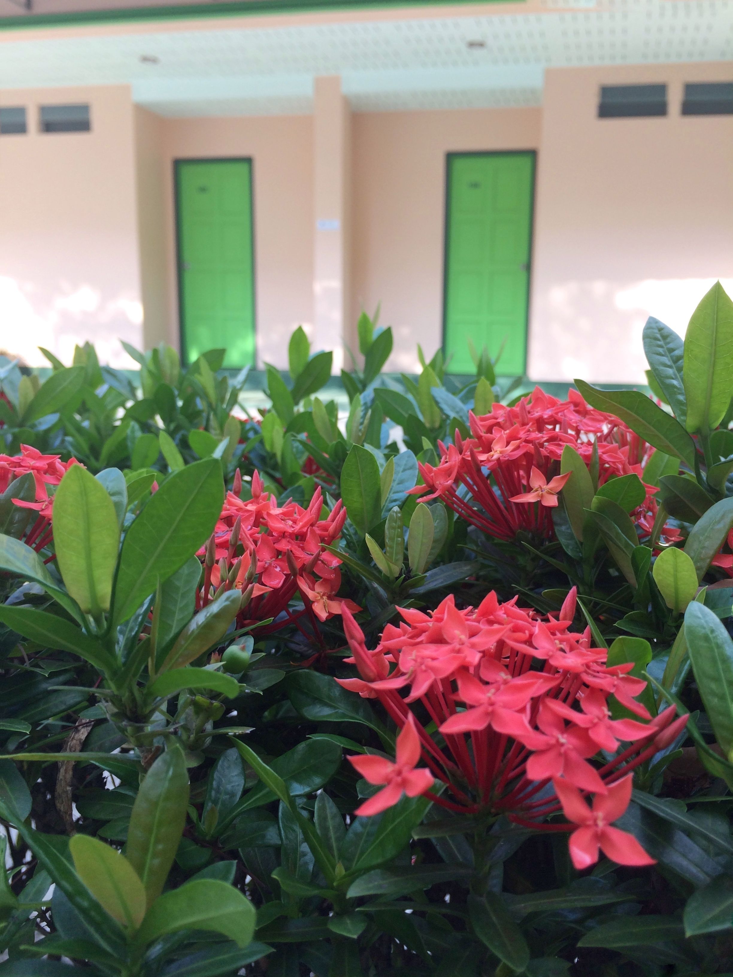 Foto - J.Holiday Inn Krabi