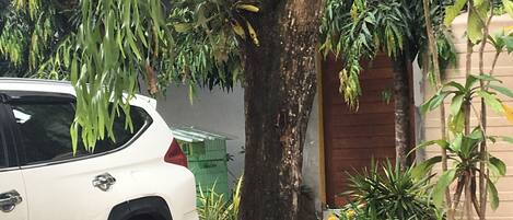 A white SUV parked next to a tree with dense foliage and a well-maintained garden area.