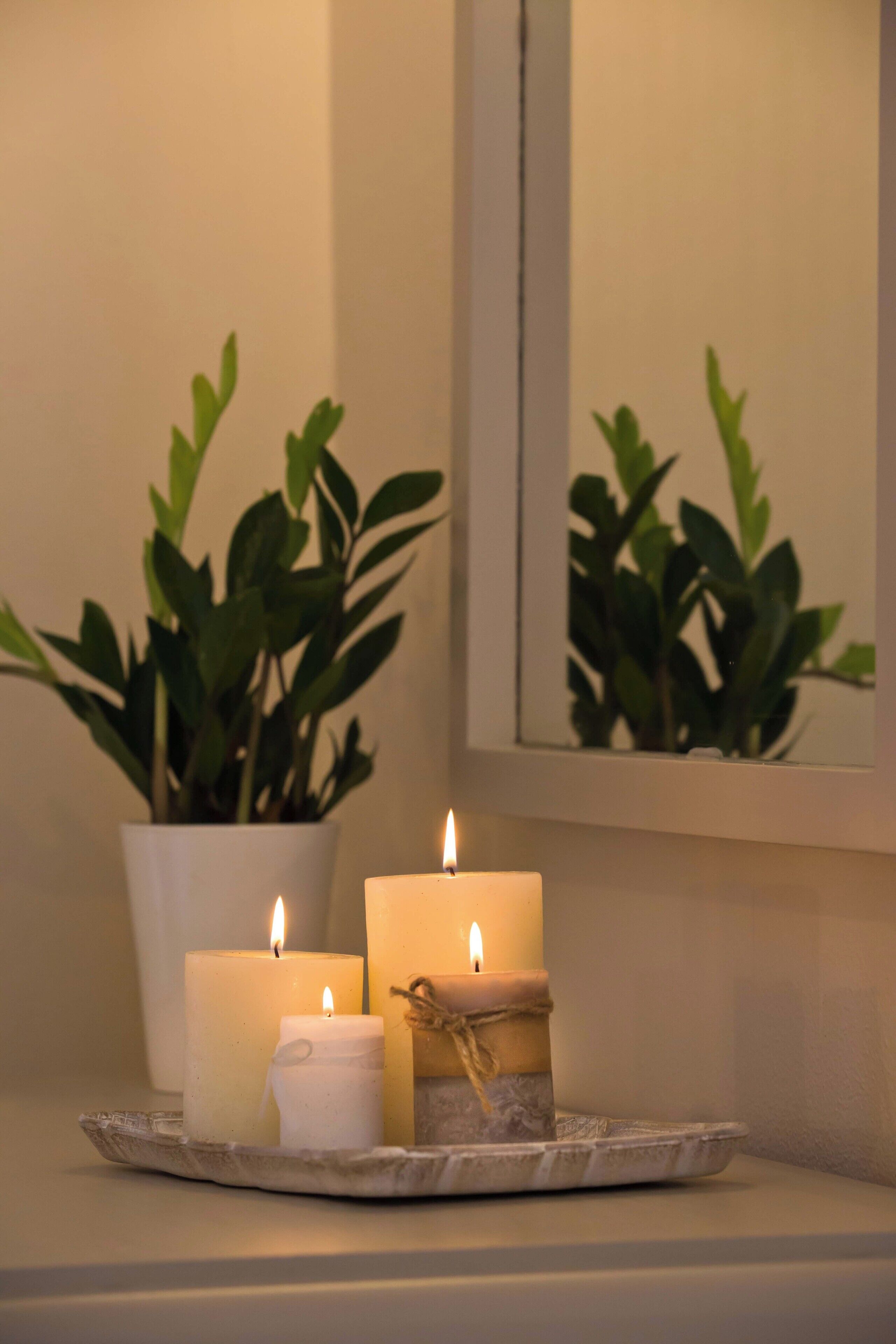Escena iluminada por velas con dos velas sobre una bandeja, una planta en maceta y un espejo que refleja la planta.