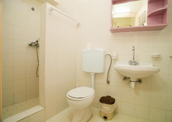 Un baño con inodoro, lavamanos y ducha.