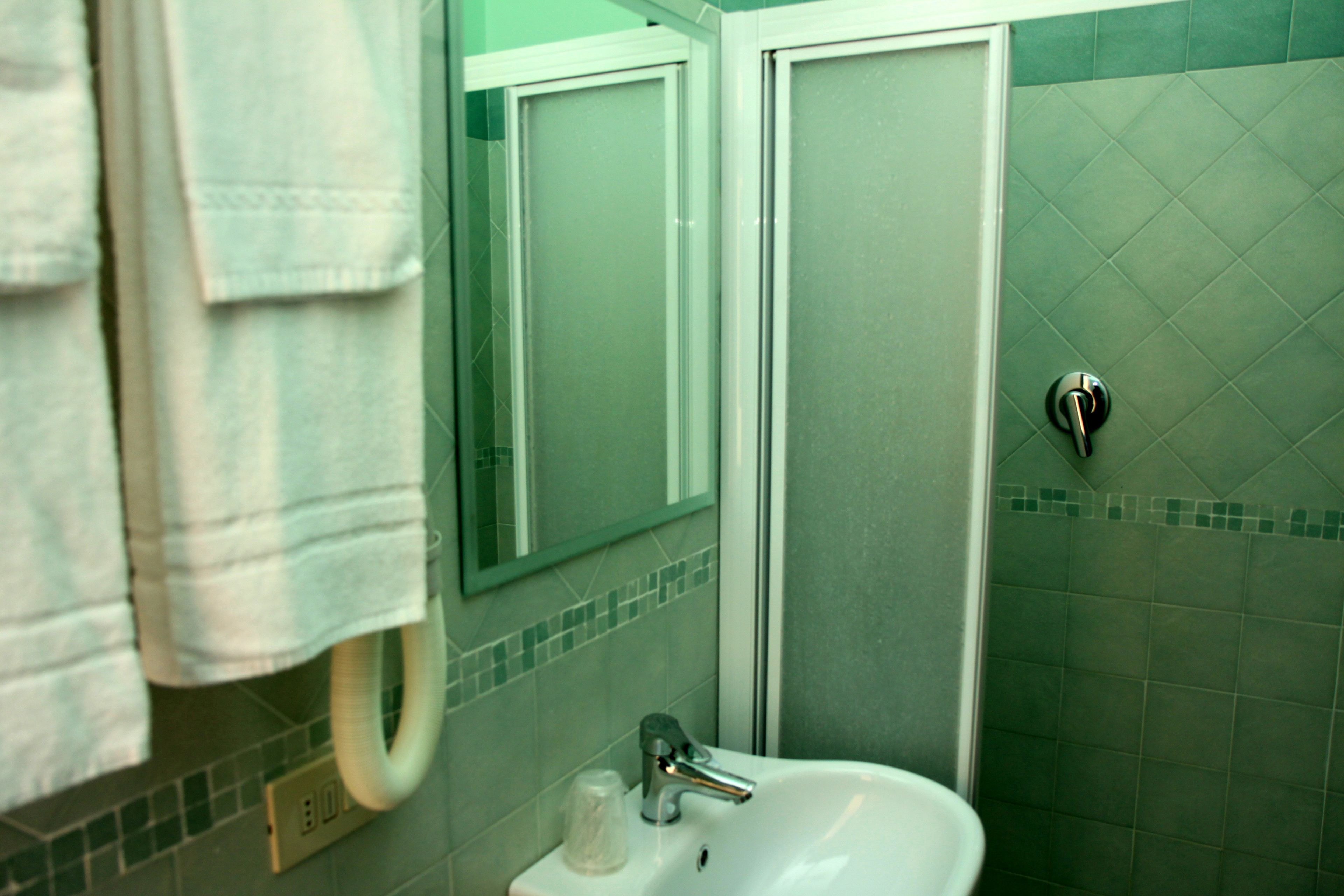 deluxe double room | bathroom | shower, hair dryer, bidet, towels
