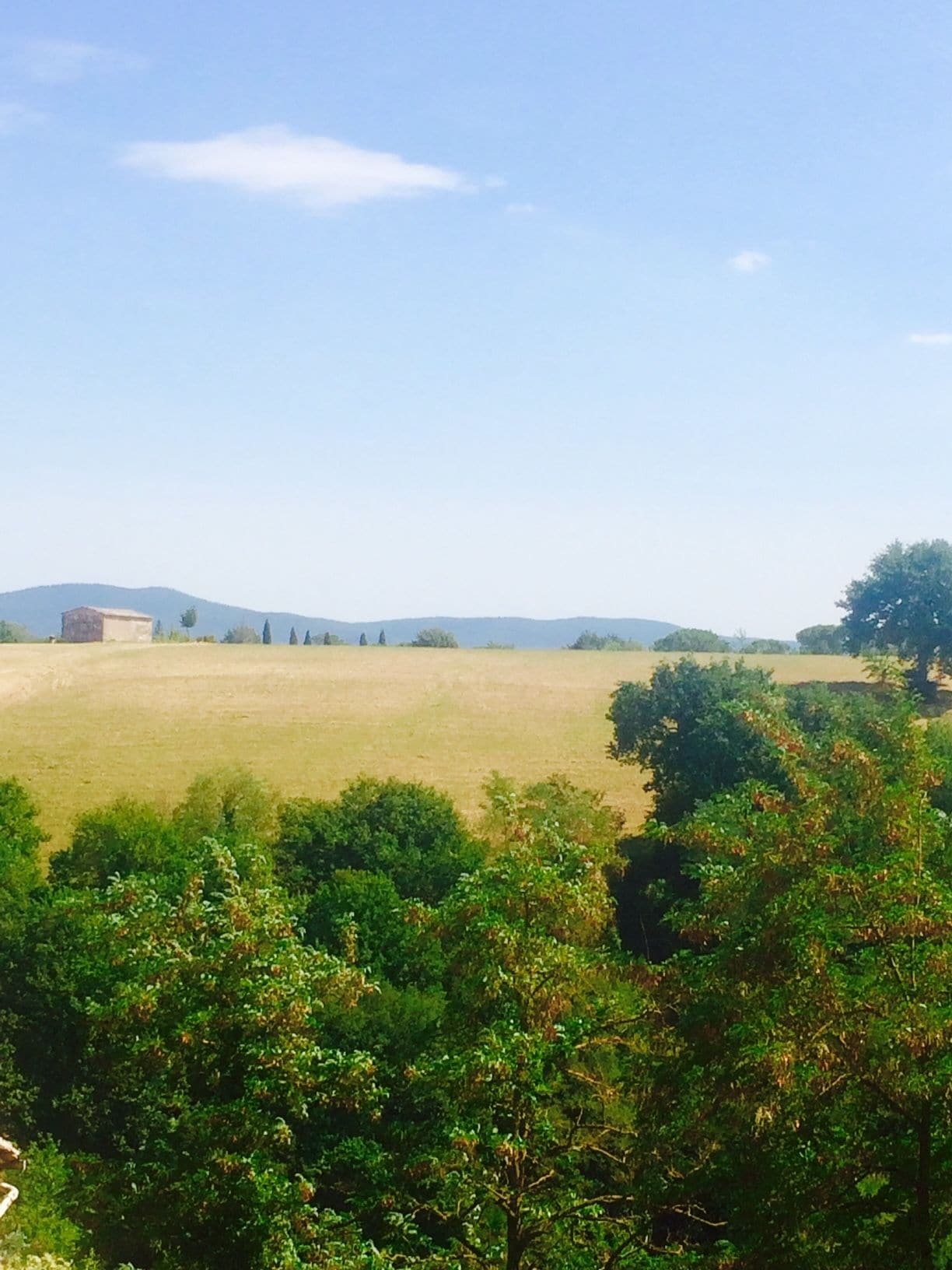 A rural landscape with a field, trees, and distant hills.