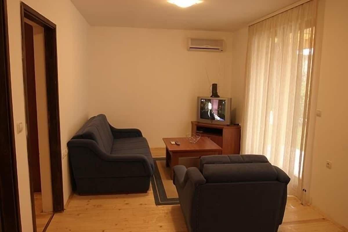 Televisión de pantalla plana, mesa de ping pong