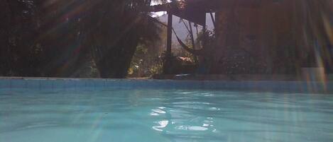 Outdoor pool, sun loungers