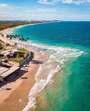 Una playa costera con un paseo marítimo bordeado de palmeras y un restaurante frente al mar.