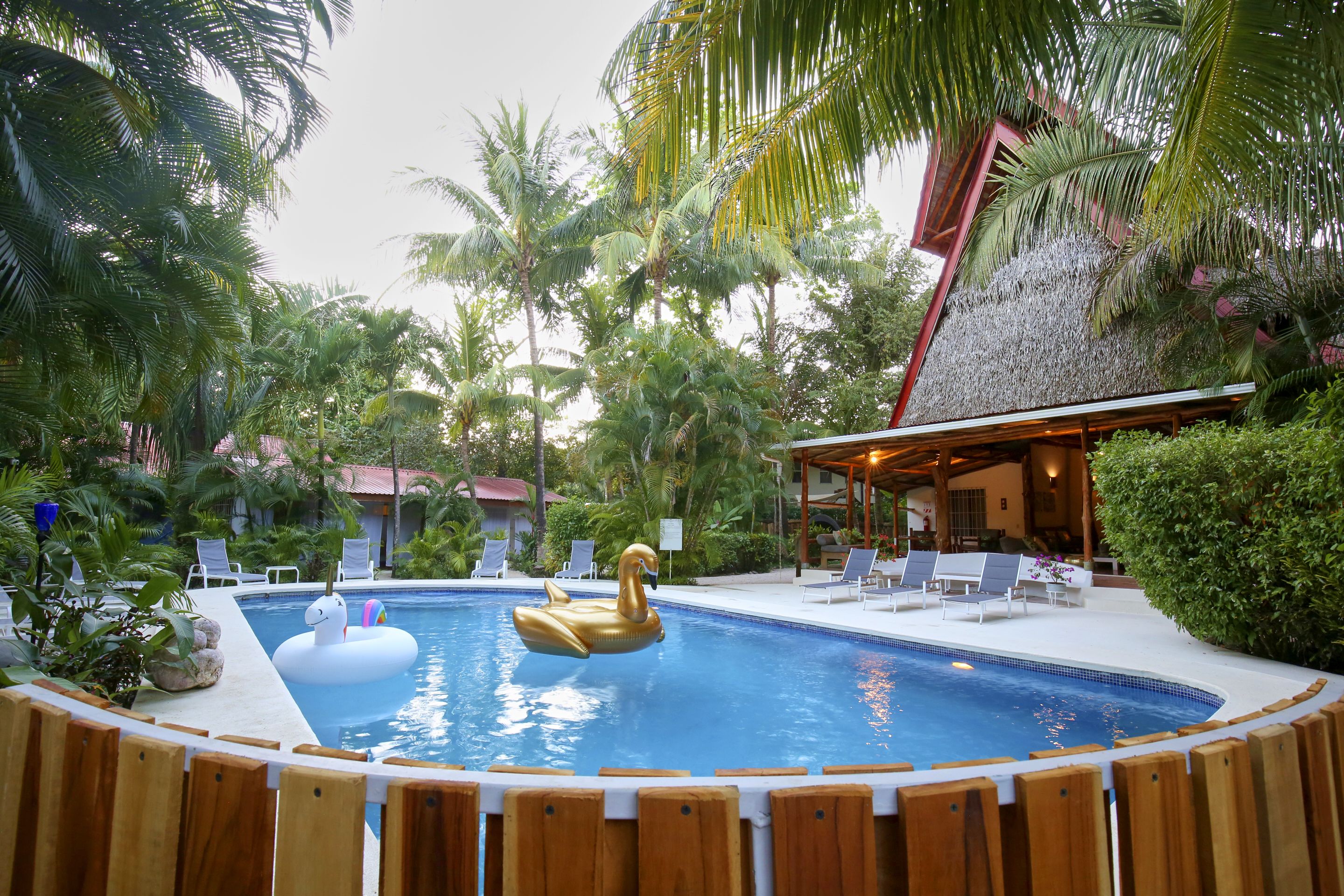 Una piscina con un flotador con forma de cisne dorado, rodeada de palmeras y sillas de descanso.