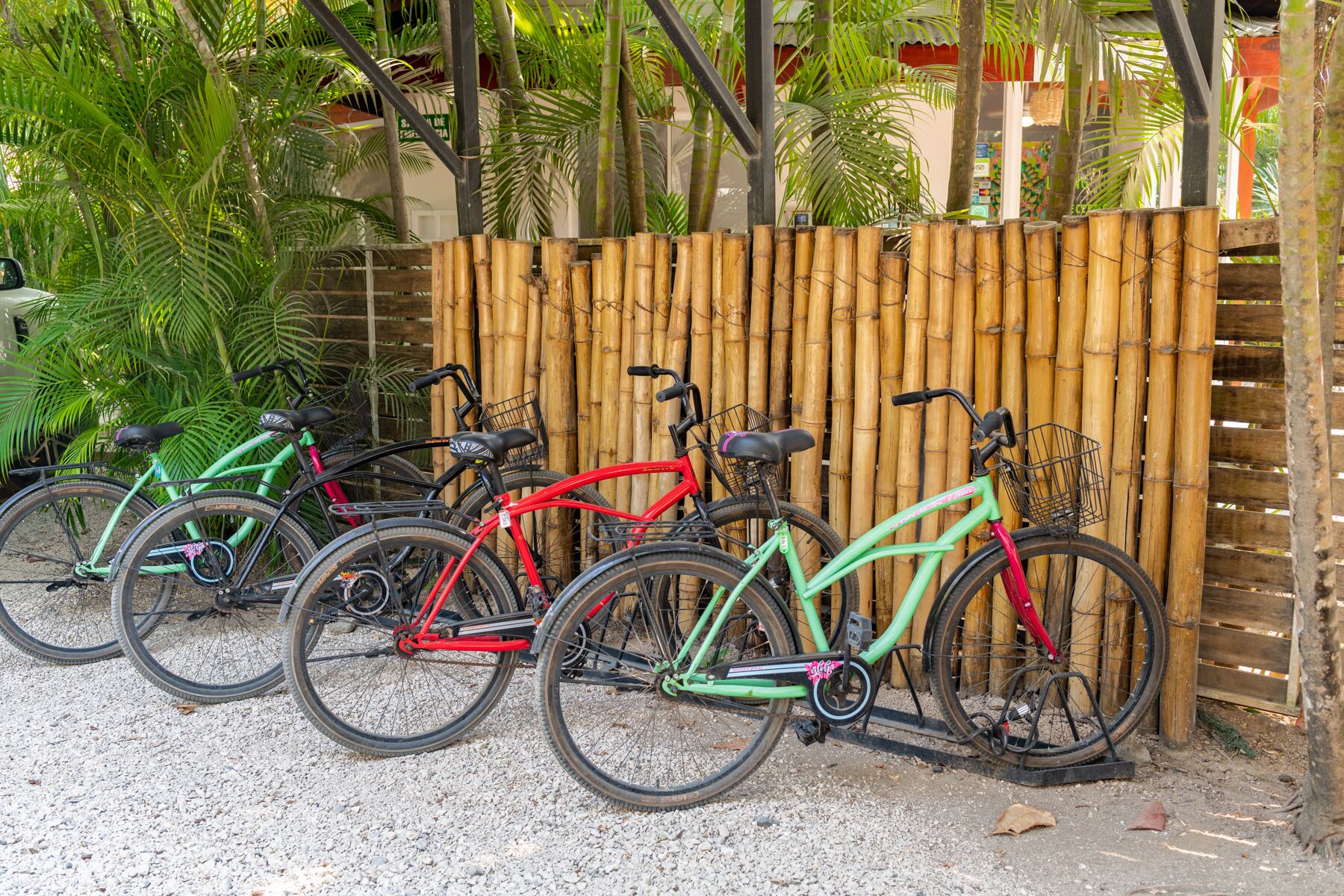 Varias bicicletas estacionadas junto a una cerca de bambú en un entorno tropical.