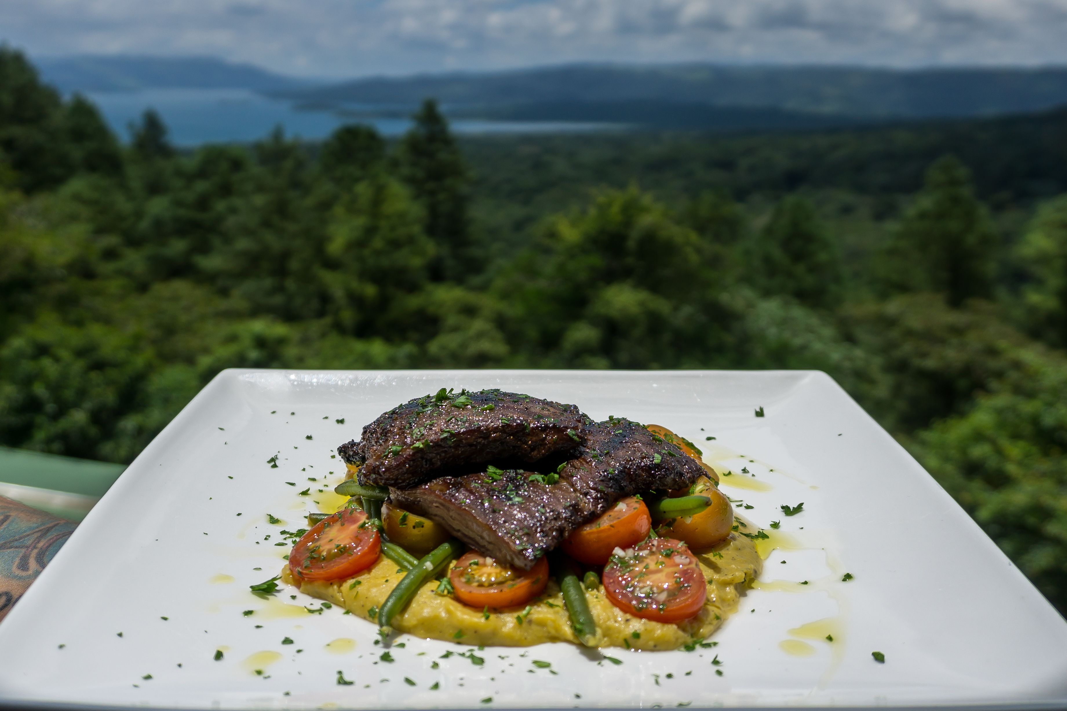 Un plato cuadrado de comida con carne, tomates y judías verdes, sobre un fondo de bosque y lago.