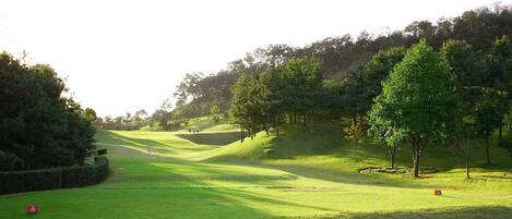 Un campo de golf con un fairway bien cuidado, árboles y una colina distante.