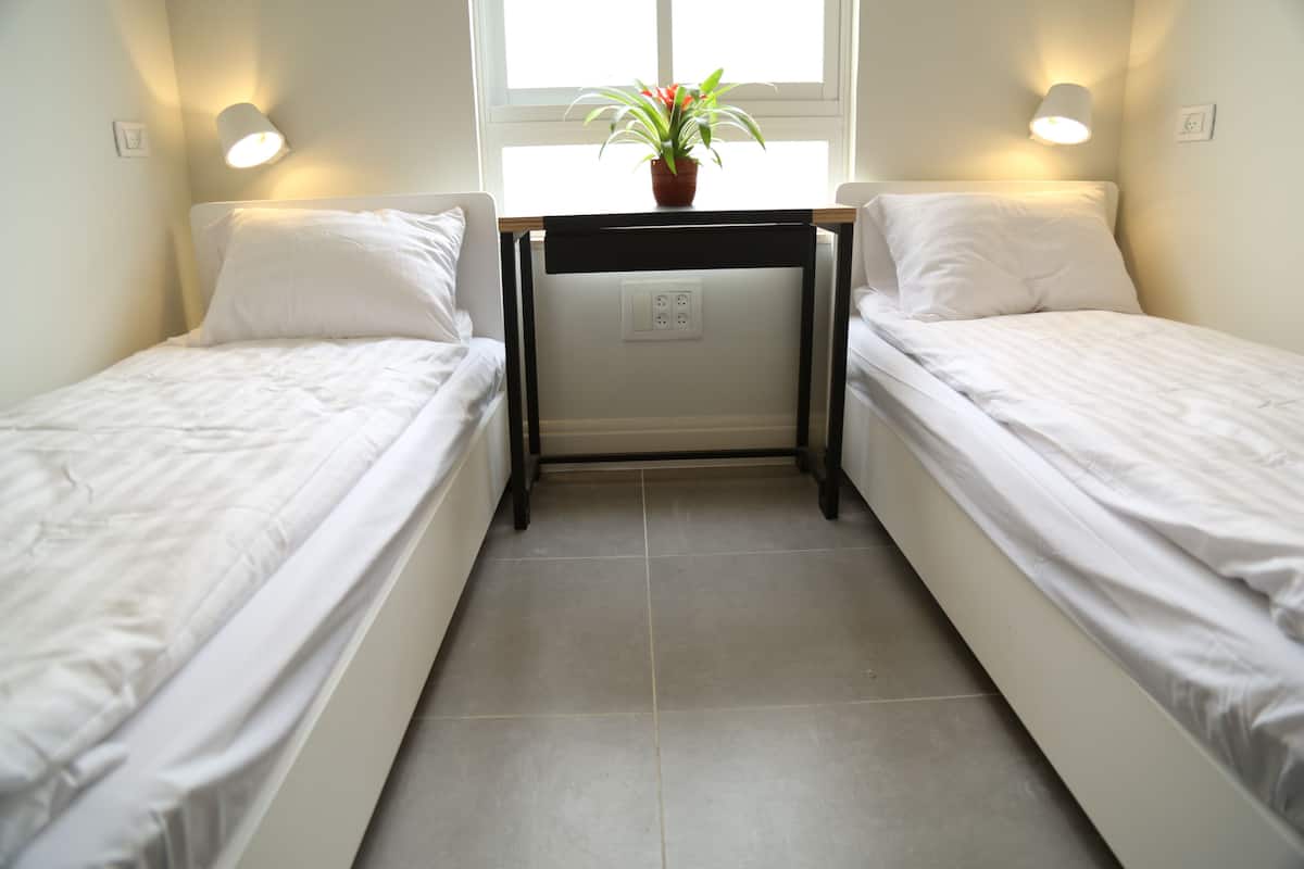 A small, clean room with two single beds, a desk with a plant, and a window providing natural light.