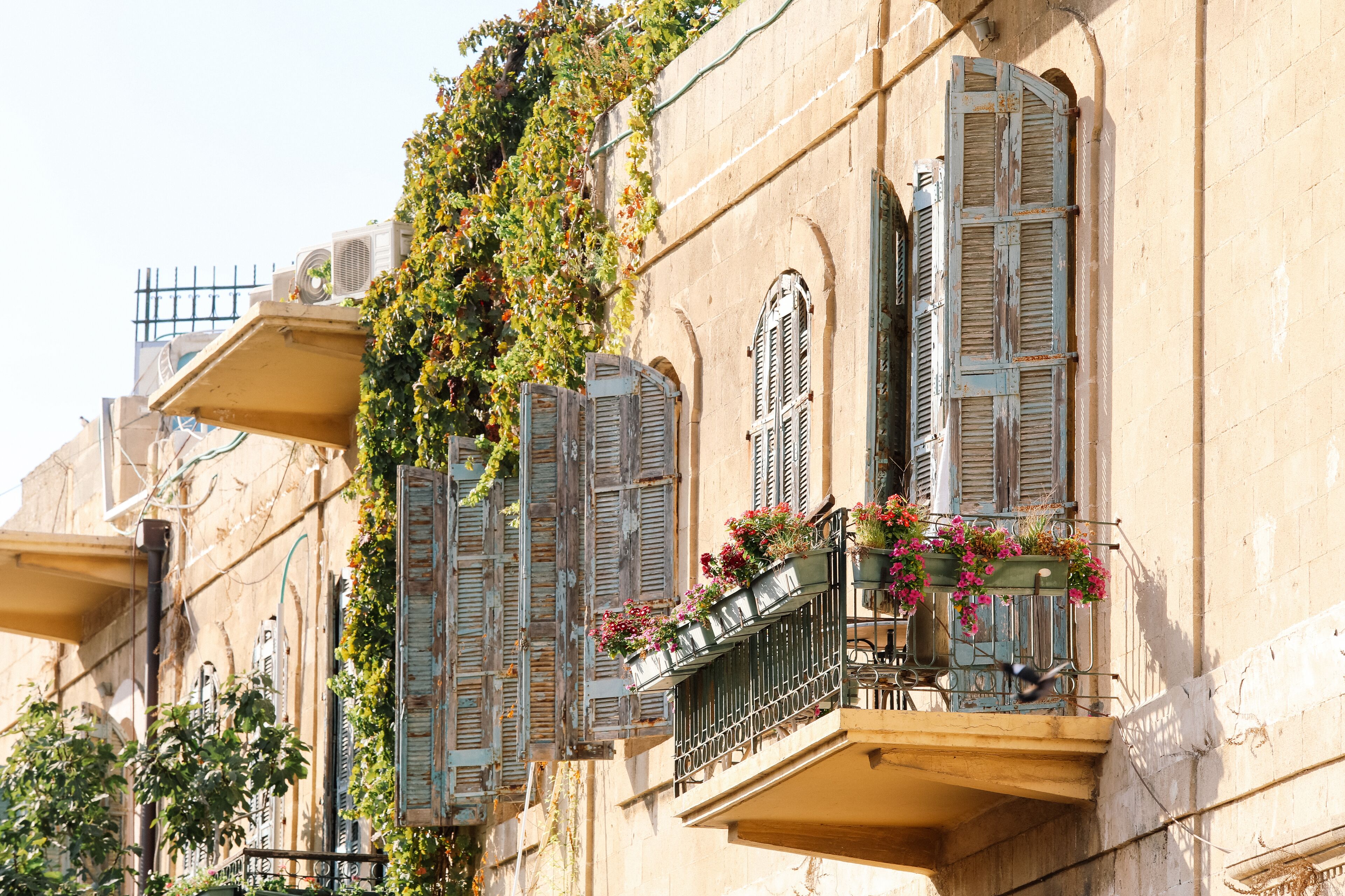 Foto - Old Jaffa House - Boutique Hotel