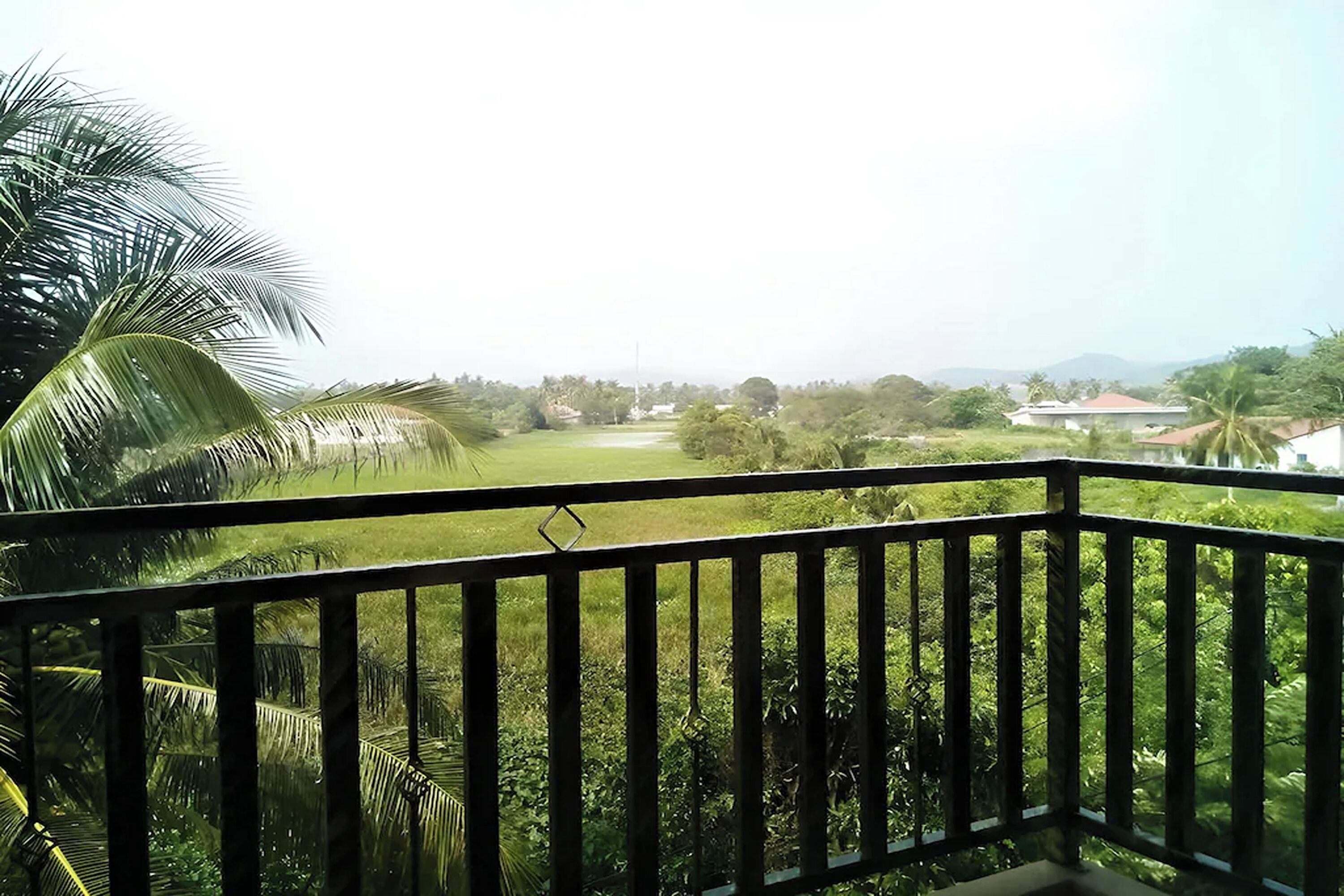 A balcony with a view of a green field and palm trees.