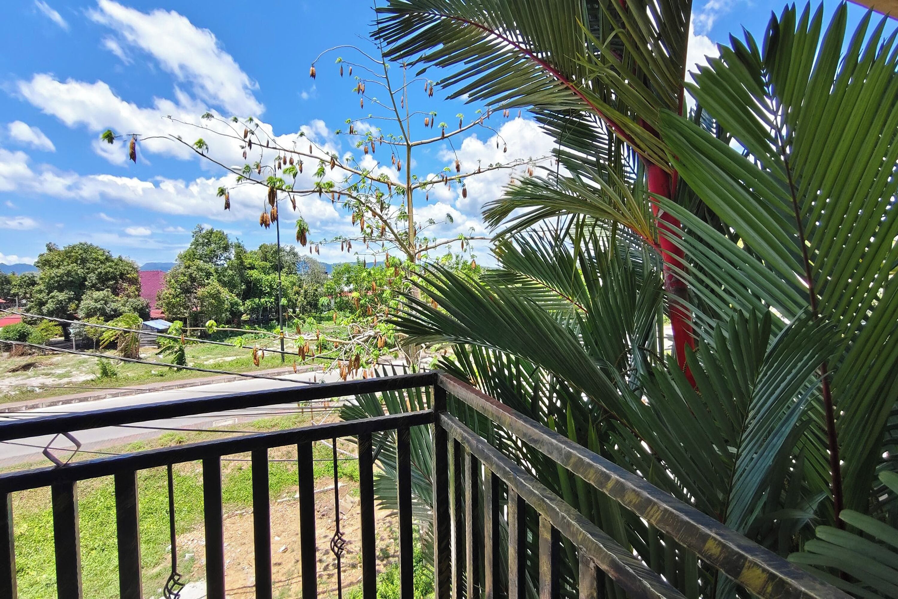 A balcony with a view of a road and greenery, including a palm tree.