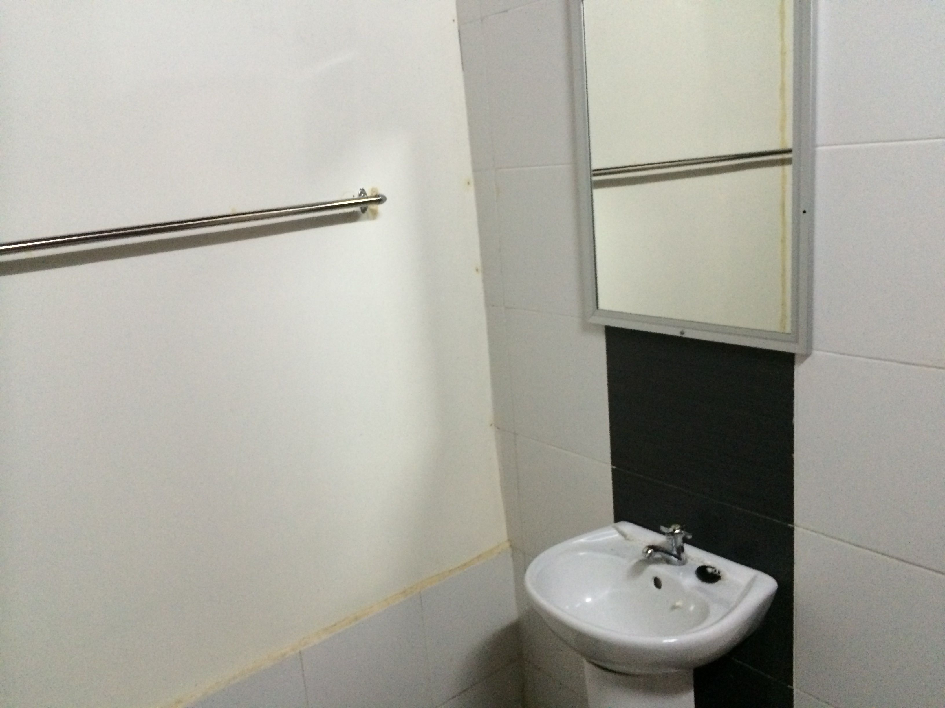 A bathroom with a white sink, a mirror, and a handrail.