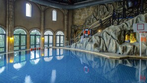 Une piscine intérieure offrant une vue dégagée sur le bord du bassin, un panier de basket et un mur d’escalade en arrière-plan.