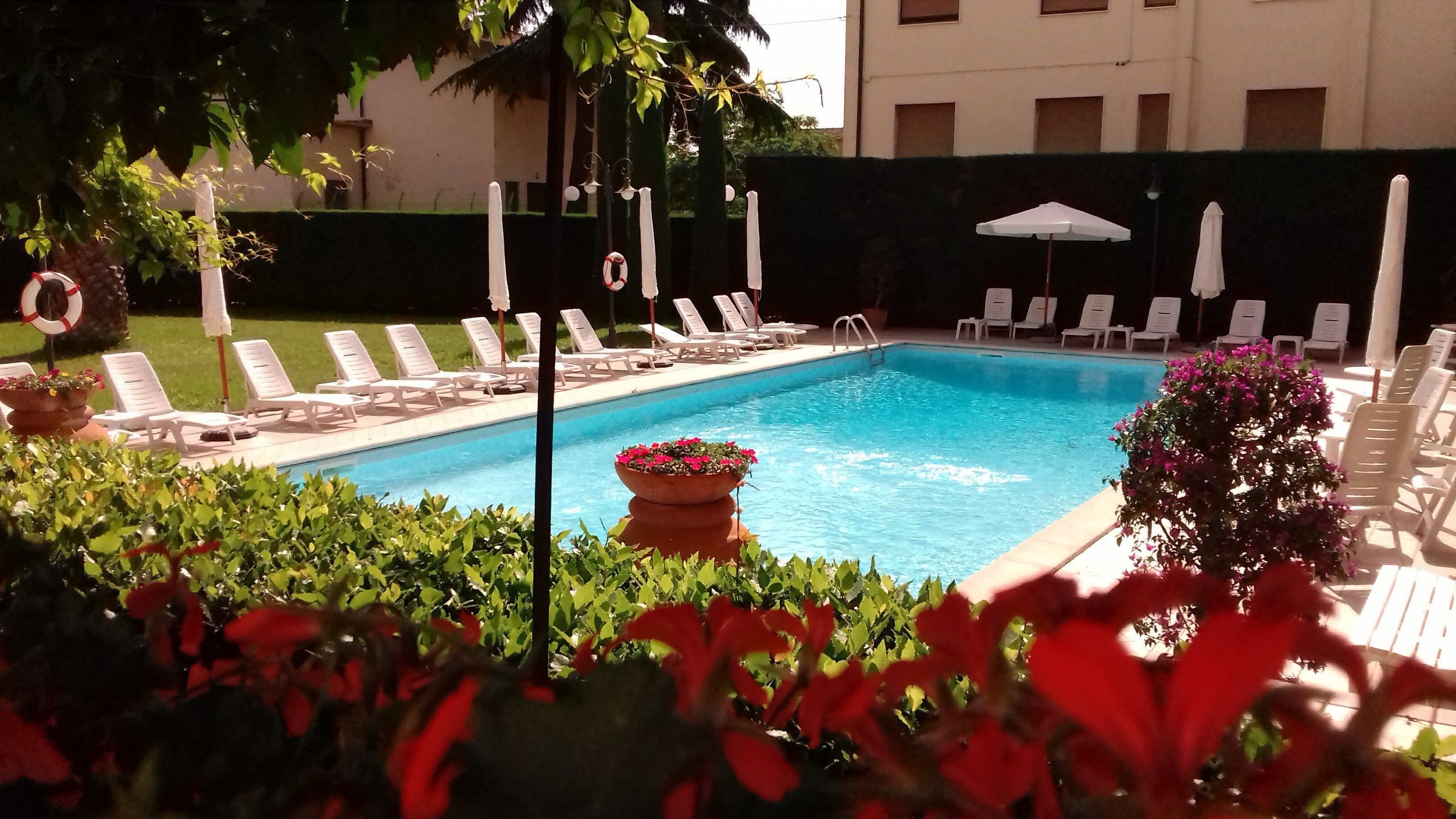 Piscina com espreguiçadeiras e guarda-sóis, cercada por vegetação e um arbusto.