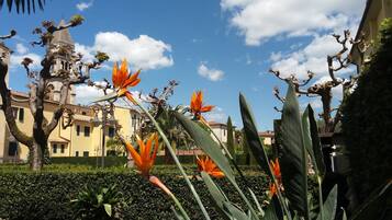 Jardin