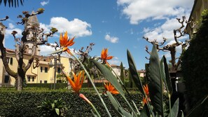 Garden - Albergo Roma (Casciana Terme Lari)