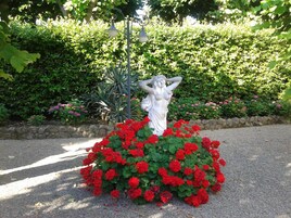 Parco della struttura