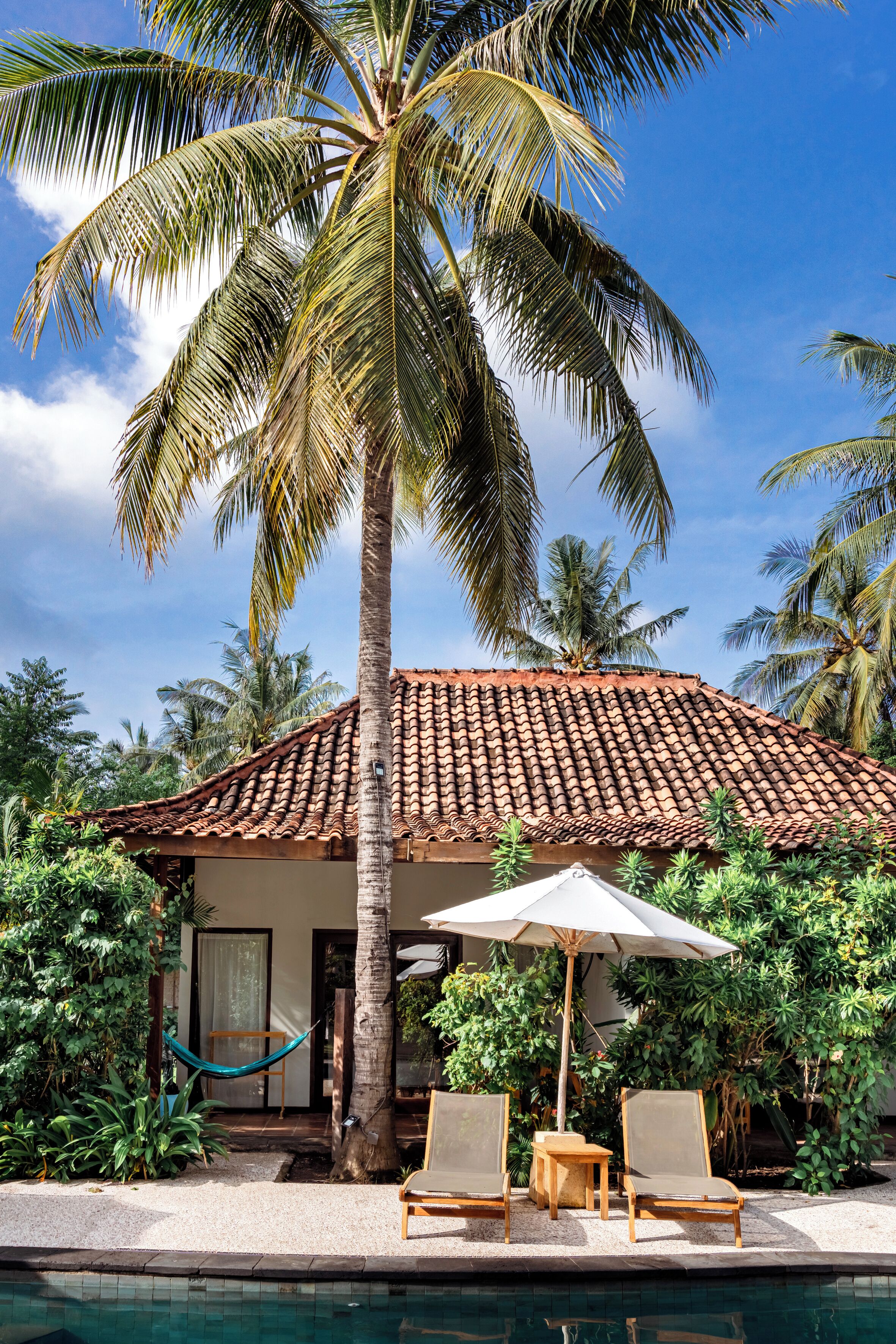 A poolside area with a tiled roof, palm trees, and lounge chairs.