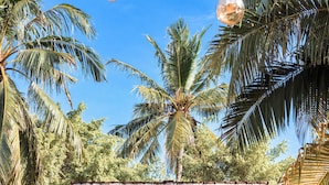 A traditional building with a tiled roof, surrounded by lush greenery and palm trees. - Coconut Garden Resort (Gili Trawangan)